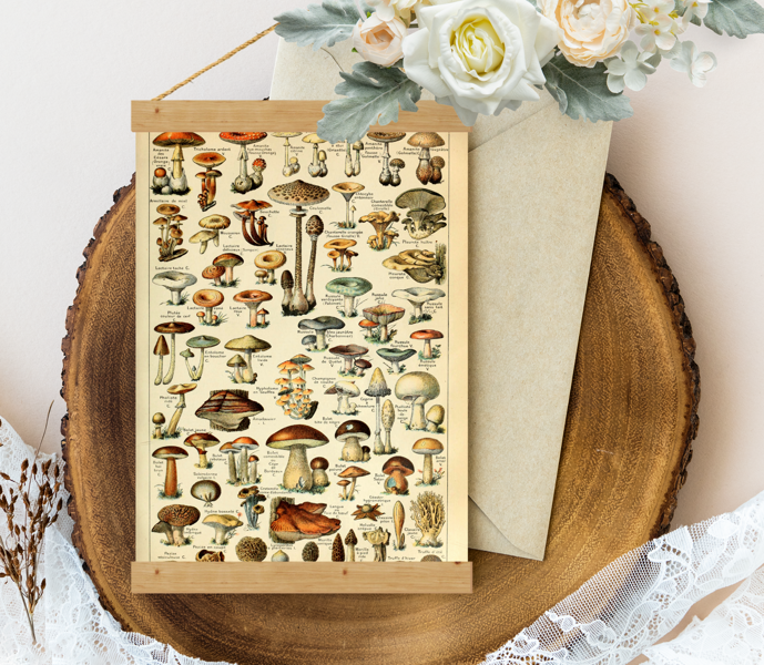 Sienas dekors - Vintage Mushrooms Millot
