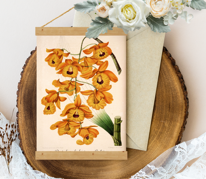 Sienas dekors - Vintage Oranžā Orhideja Horticole