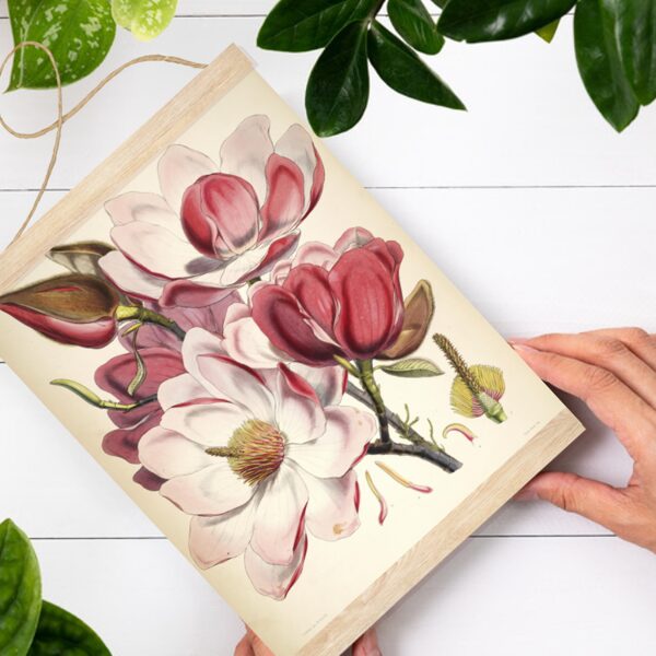 Sienas dekors - Vintage Magnolija
