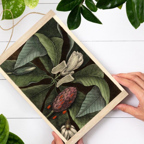 Sienas dekors Umbrella Tree A4