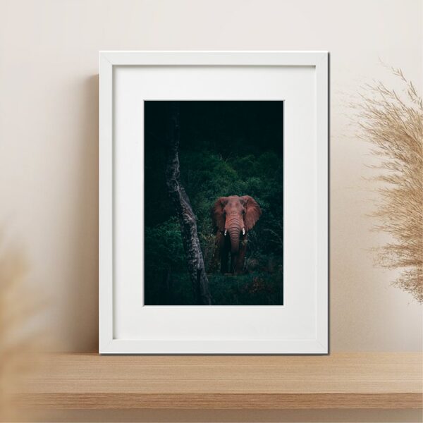 Fauna rāmī nr35