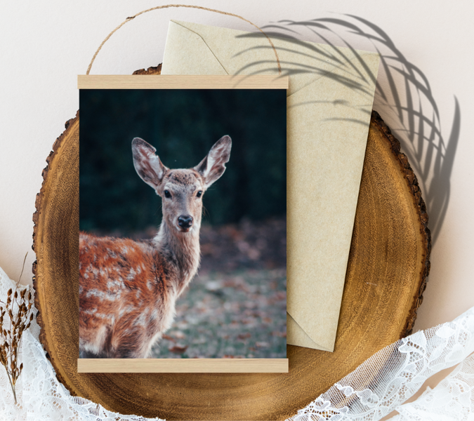 Sienas dekors Stirna #benjamin-raffetseder