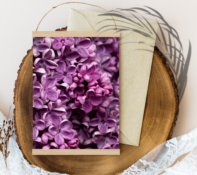 Ceriņi #/ #violets