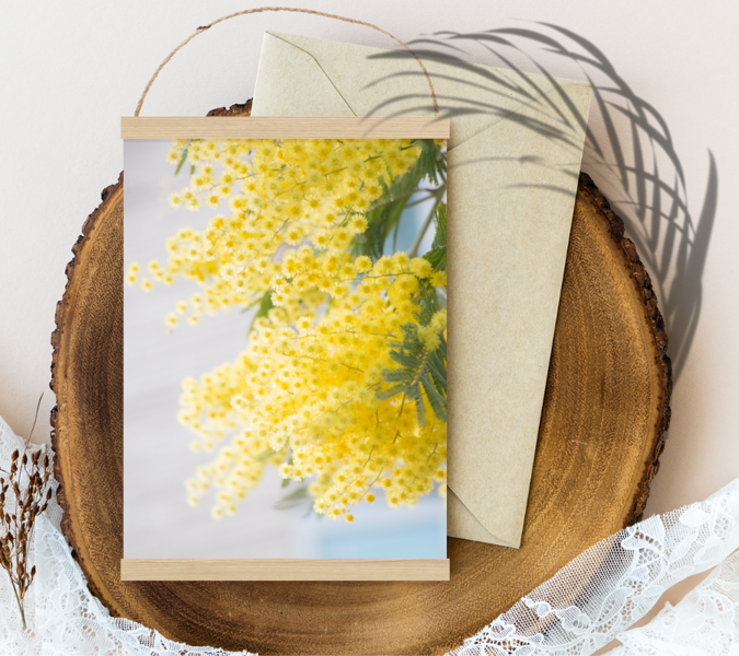 Yellow flowers are blooming