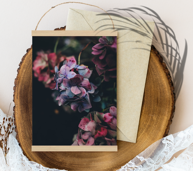 Red and blue hydrangea